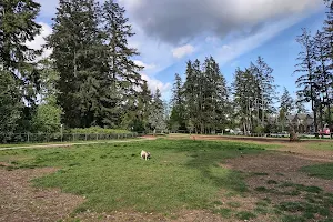 Panorama Dog Off-Leash Area image