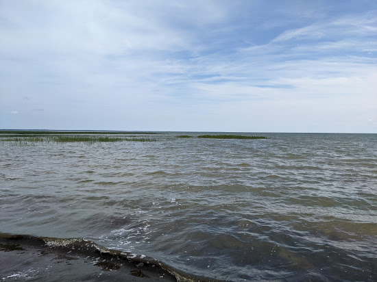 Whites beach