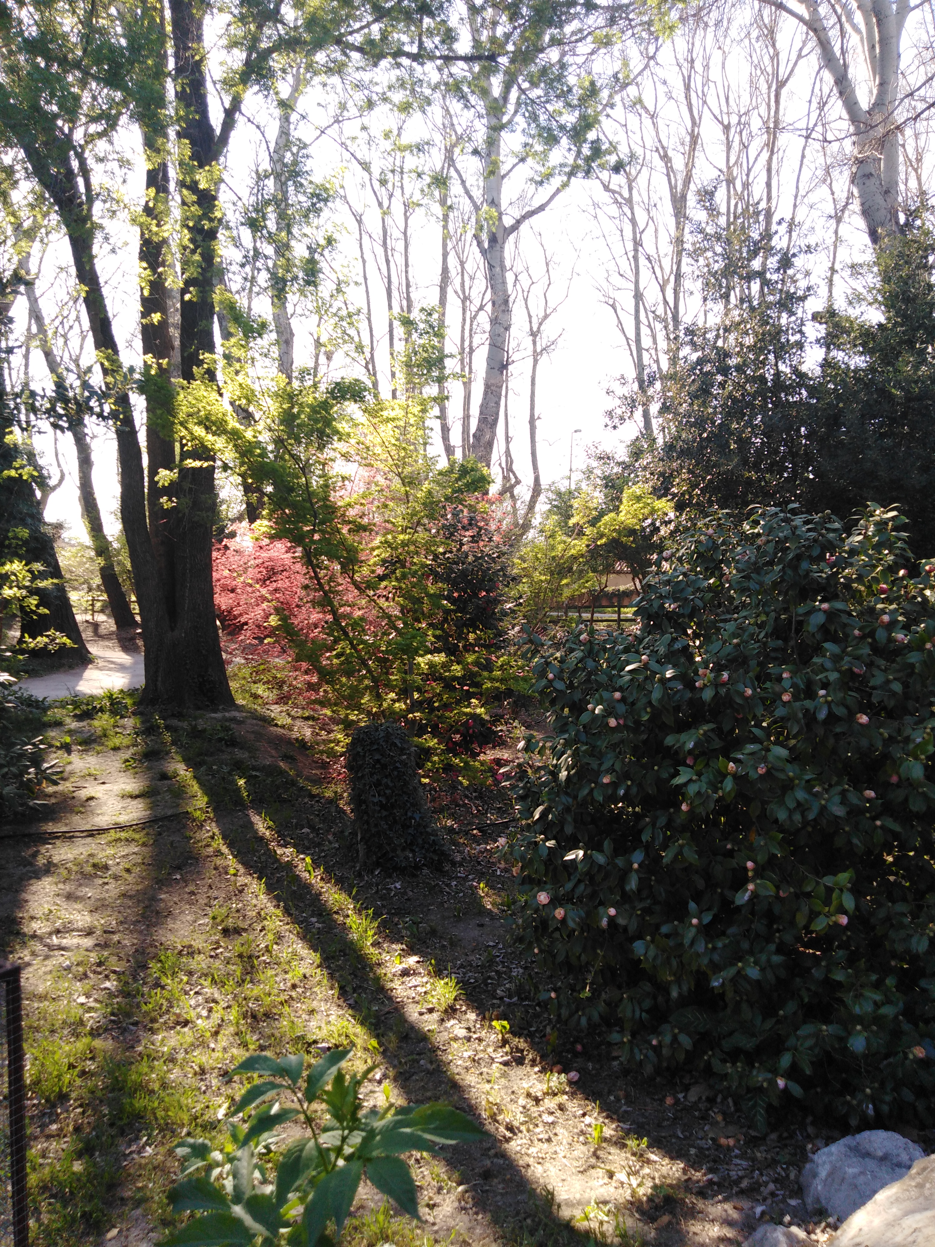Photo n° 1 de l'avis de Séverine.u fait le 06/04/2019 à 14:25