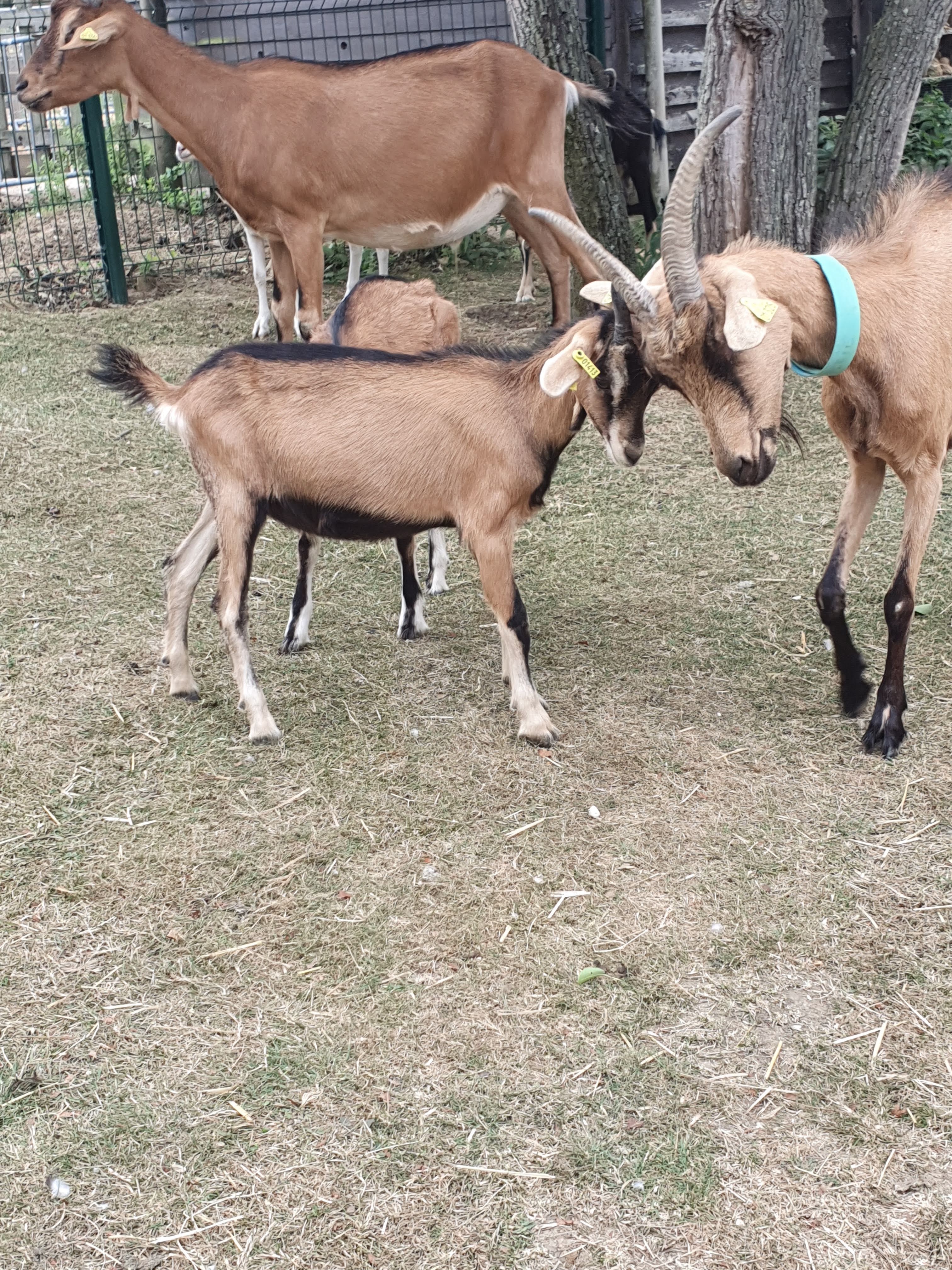 Photo n° 14 de l'avis de Liliane.o fait le 17/08/2019 à 10:37
