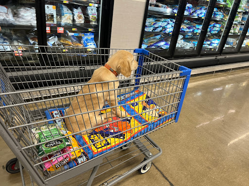 Quality Vacuum & Sewing