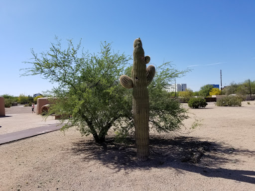 History Museum «Pueblo Grande», reviews and photos, 4619 E Washington St, Phoenix, AZ 85034, USA
