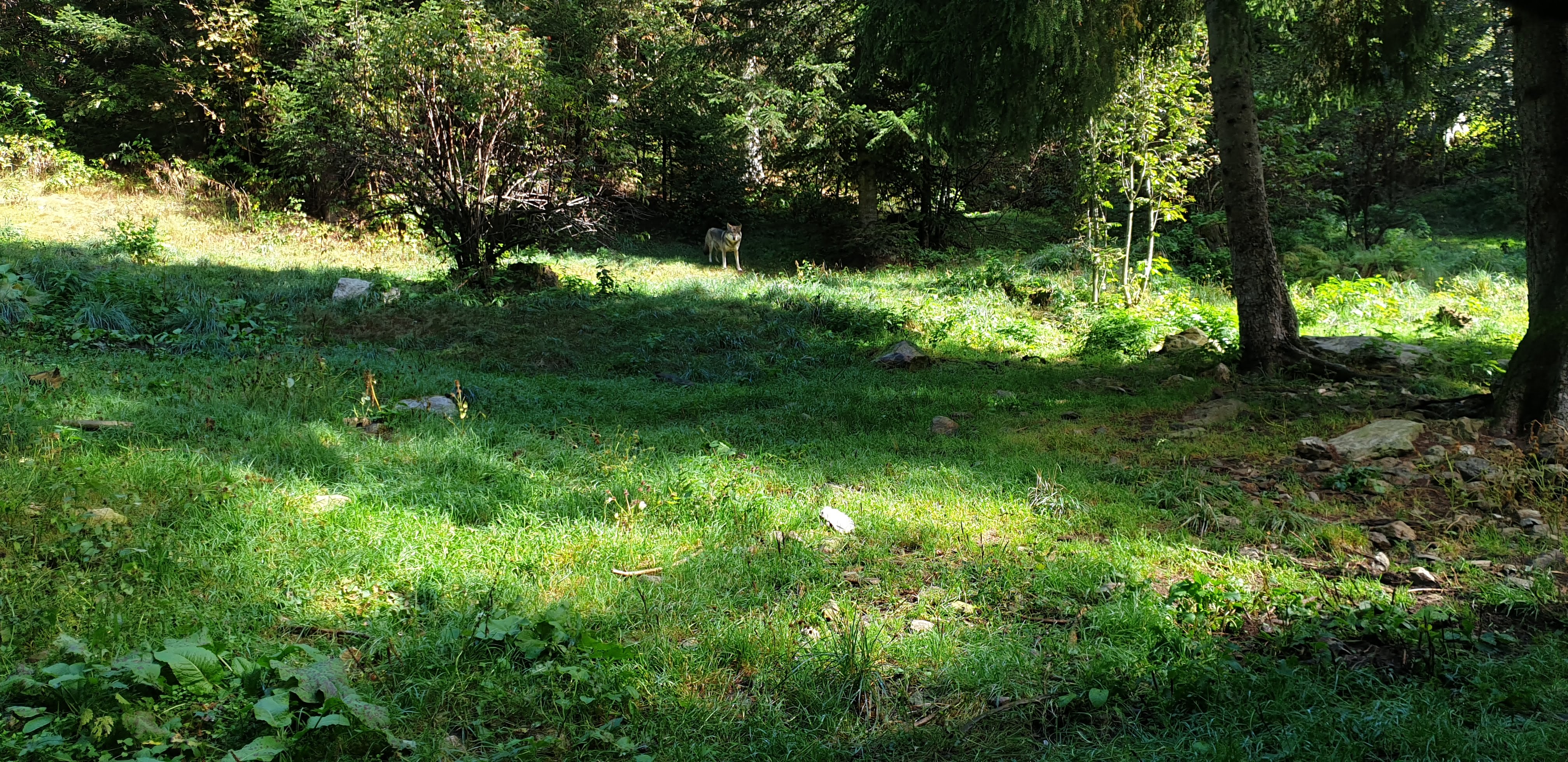 Photo n° 4 de l'avis de David.e fait le 13/10/2020 à 20:00