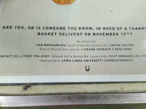 Thrift Store «Re:Live Thrift», reviews and photos