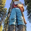 Paul Bunyan and Babe the Blue Ox