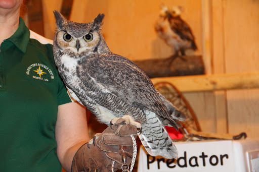 History Museum «Forest History Center», reviews and photos, 2609 Co Rd 76, Grand Rapids, MN 55744, USA