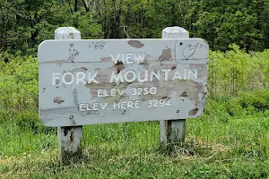 Fork Mountain Overlook image