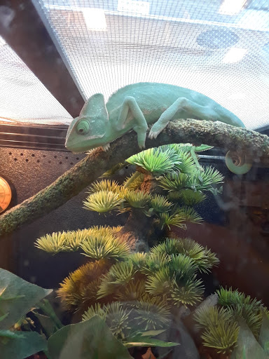 Pet Supply Store «PetSmart», reviews and photos, 1800 Evans Rd, Melbourne, FL 32904, USA