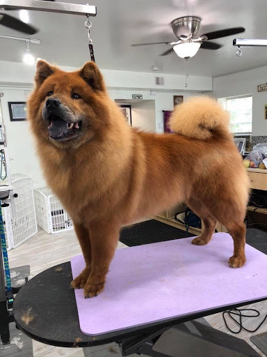 Norma's K-9 Designs, LLC.