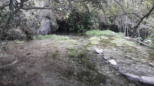 Nacimiento del río Bermuza 29716 Canillas de Aceituno, Málaga, España