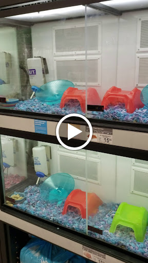 Pet Supply Store «Petco Animal Supplies», reviews and photos, 1885 S Randall Rd, Geneva, IL 60134, USA