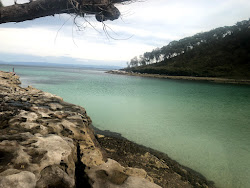 Photo de Whiting Beach situé dans une zone naturelle