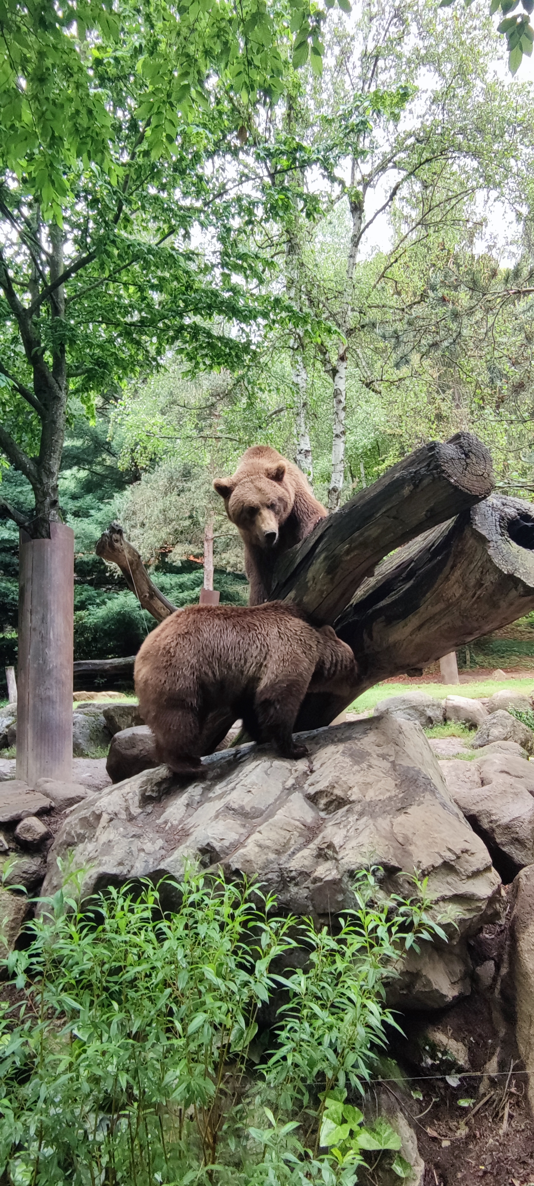 Photo n° 3 de l'avis de Marion.a fait le 30/04/2023 à 14:09