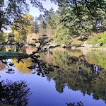 Photo n° 1 de l'avis de Belliard. fait le 07/06/2022 à 12:35 pour Parc Oriental de Maulévrier à Maulevrier