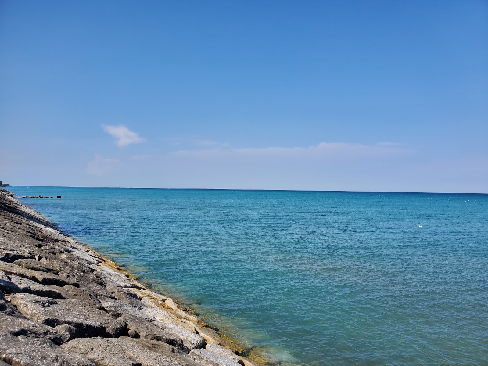 Foto de Brights Grove Beach área de comodidades