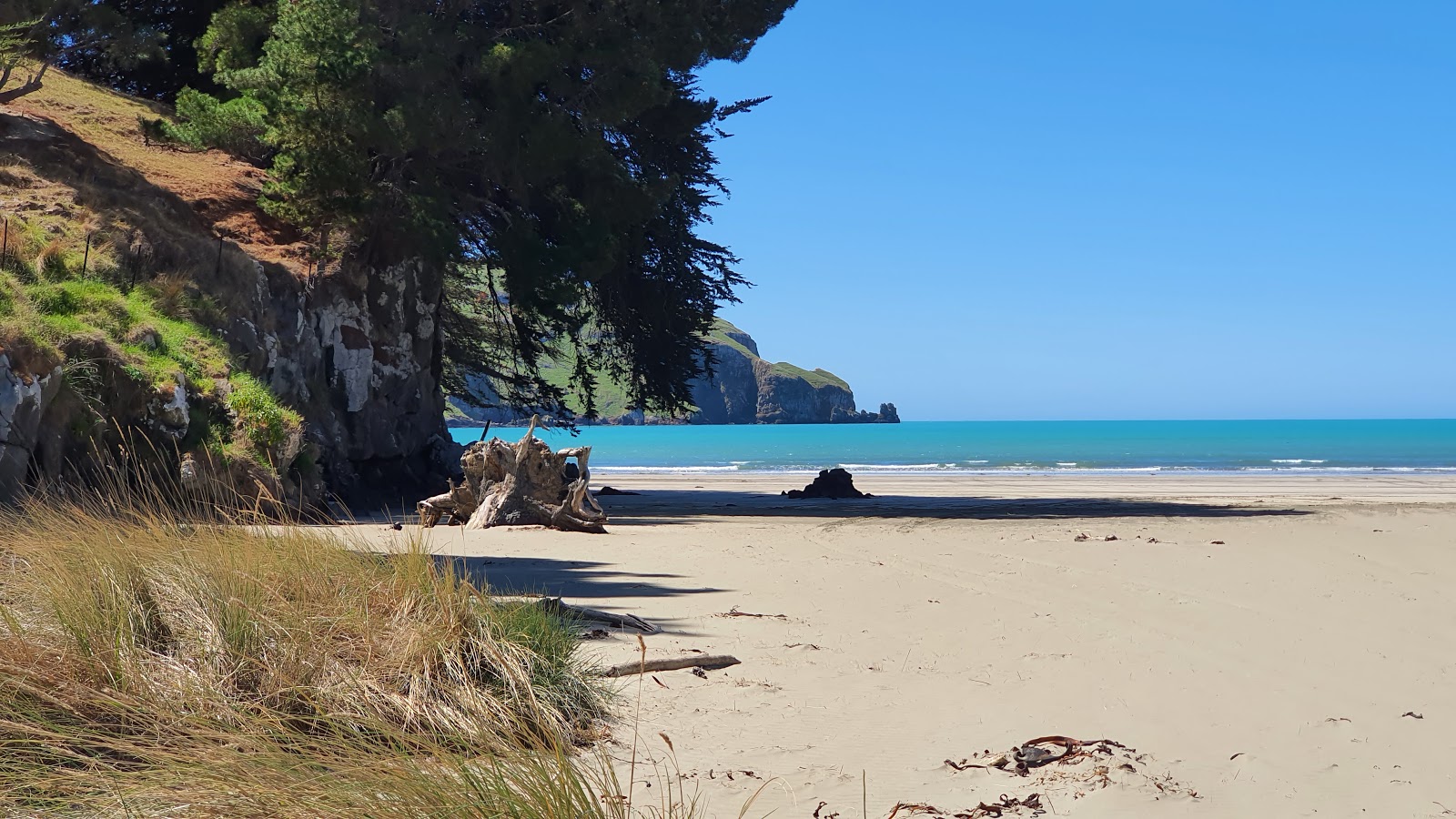 Foto di Le Bons Bay Beach - luogo popolare tra gli intenditori del relax