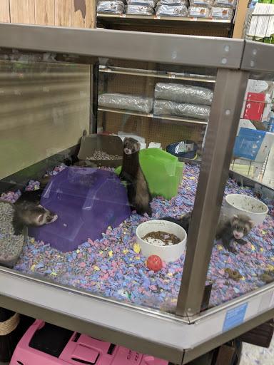 Pet Supply Store «Petco Animal Supplies», reviews and photos, 1215-1309 NJ-33 #1, Hamilton Township, NJ 08690, USA