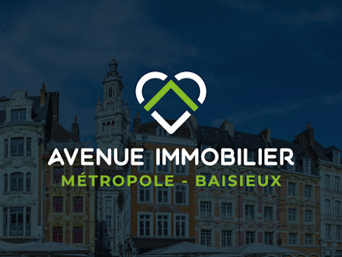 Agence immobilière Avenue Immobilier Métropole Baisieux Baisieux