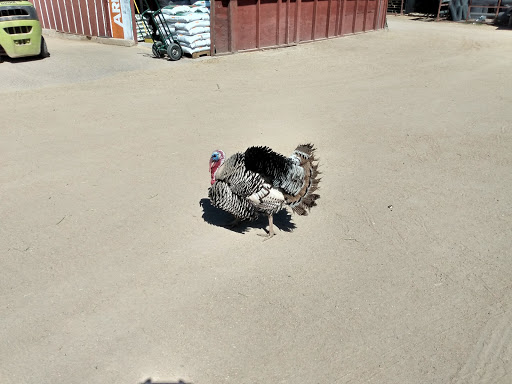 Animal Feed Store «Western Ranchman Store», reviews and photos, 16028 N 32nd St, Phoenix, AZ 85032, USA