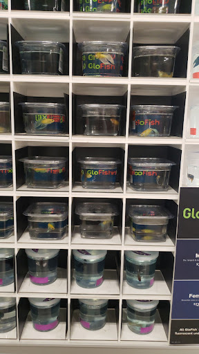 Pet Supply Store «PetSmart», reviews and photos, 288 12th Ave, Hanford, CA 93230, USA