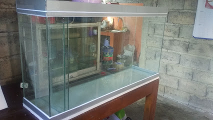 Ichio aquarium