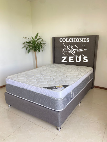 Colchones Zeus