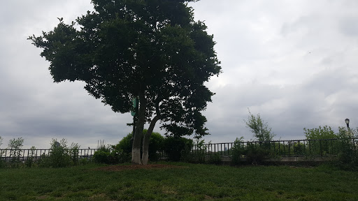 Park «Carl Schurz Park», reviews and photos, East 86th Street & East End Ave, New York, NY 10028, USA