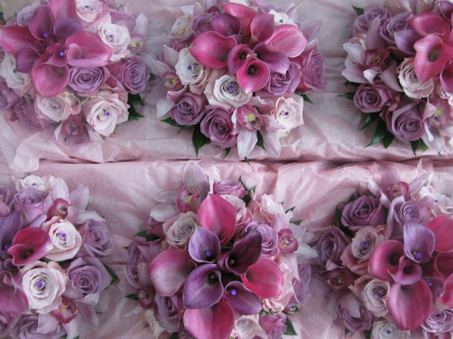 Plant Nursery «A & S Whitestone Nursery», reviews and photos, 2302 Francis Lewis Blvd, Whitestone, NY 11357, USA