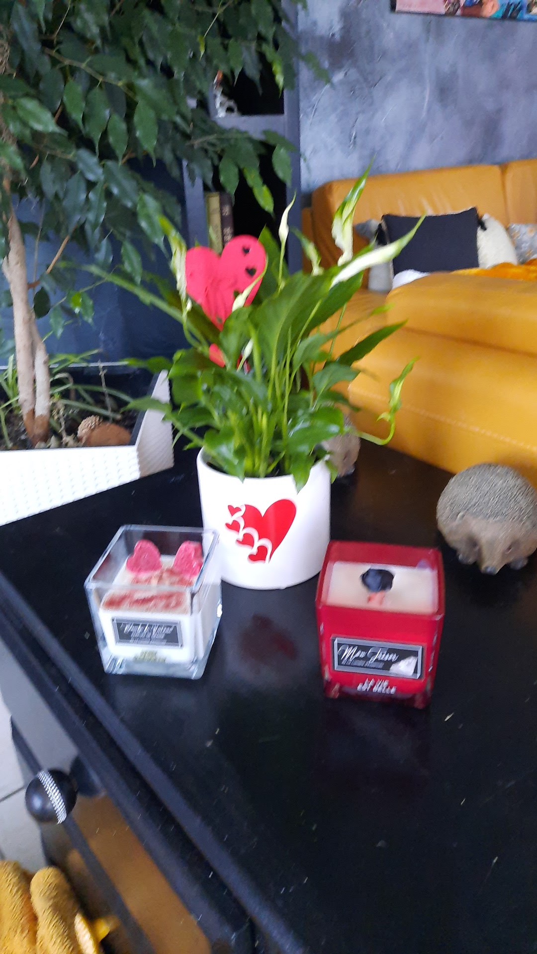 Photo n° 1 de l'avis de sophy.o fait le 11/02/2022 à 16:49
