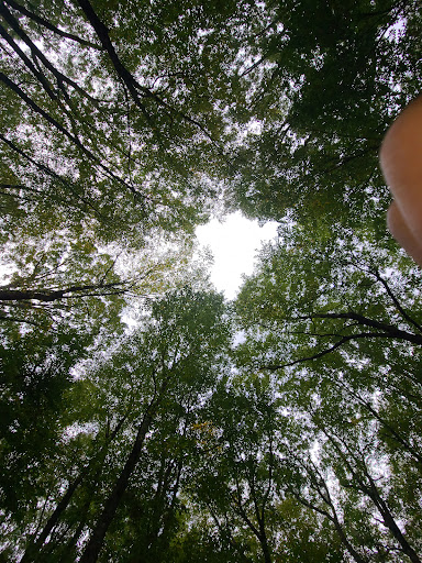 Park «Winding Hills Park», reviews and photos, 2 Old Rte 17K, Montgomery, NY 12549, USA