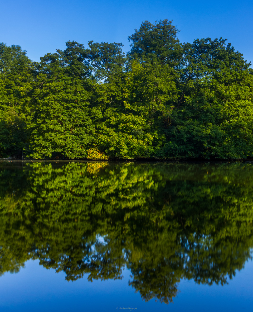 Photo n° 1 de l'avis de Jeremie.a fait le 06/09/2019 à 14:12