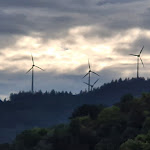 Photo n°10 de l'avis de Nadia.r fait le 04/07/2023 à 21:39 sur le  Mercure Hotel Freiburg Am Muenster à Freiburg im Breisgau