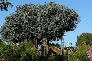 Swiss Family Treehouse 1992 image