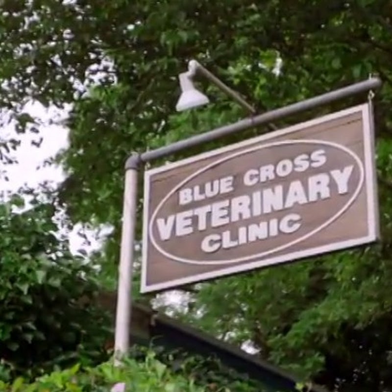 Blue Cross Veterinary Clinic
