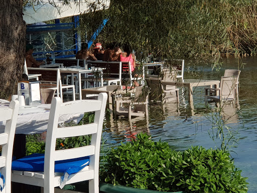 Azmakkapı Orfoz Restaurant