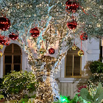 Photo n°3 de l'avis de Antonio.e fait le 17/12/2022 à 20:59 sur le  Il Re della Brace à Pulsano