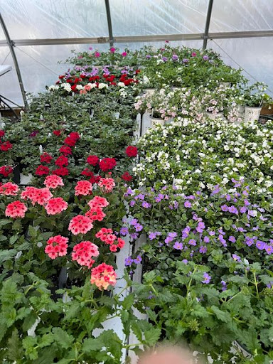 Florist «TG Designs», reviews and photos, 19231 Longmeadow Rd, Hagerstown, MD 21742, USA