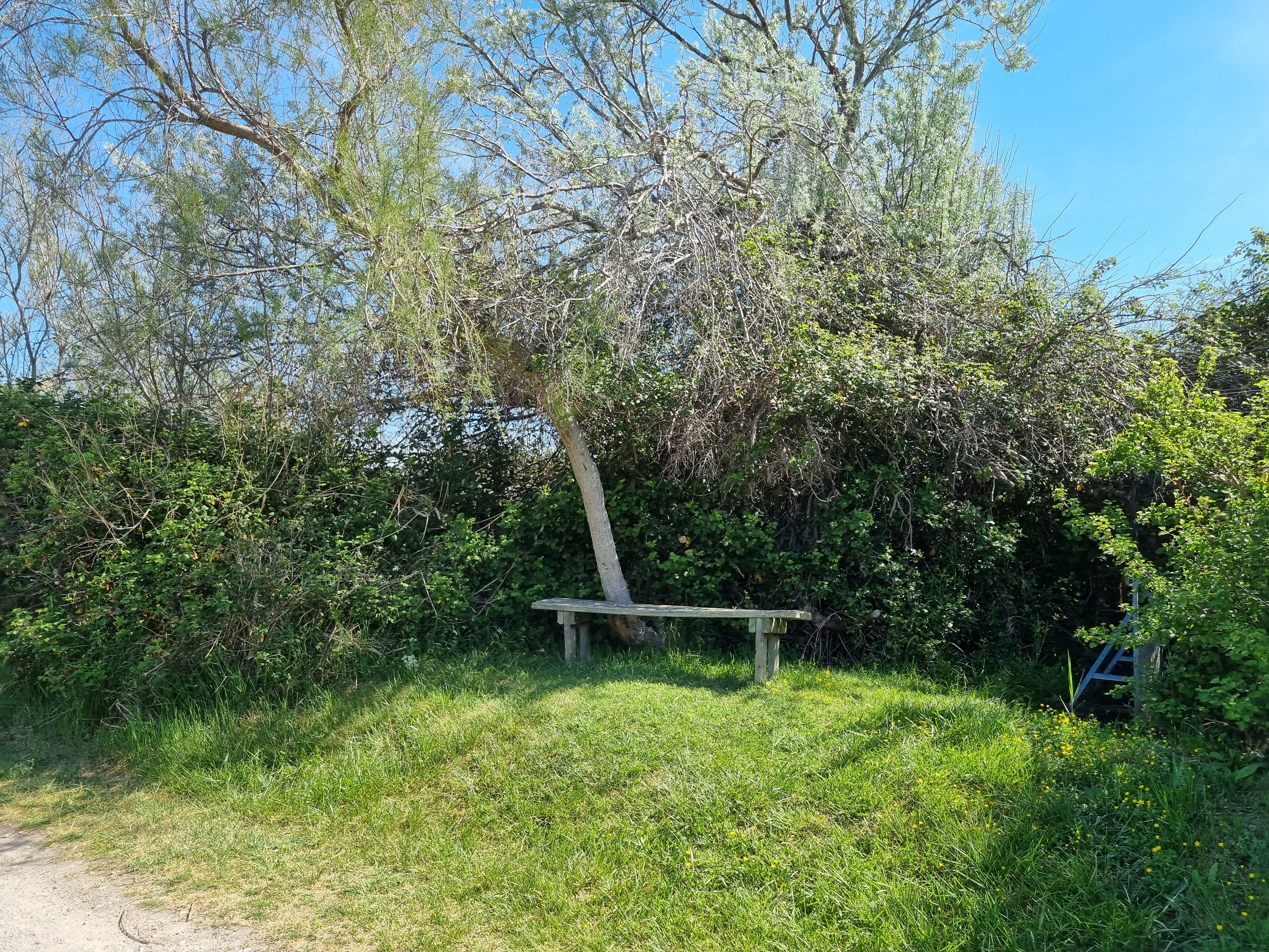 Photo n° 7 de l'avis de GIGI.I fait le 21/04/2022 à 16:32