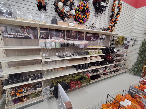 Craft Store «Michaels», reviews and photos, 9051 Columbus Pike, Lewis Center, OH 43035, USA