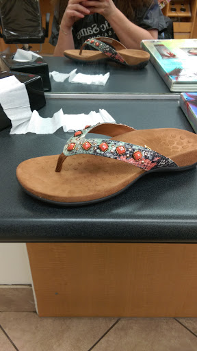 Department Store «Bealls Store», reviews and photos, 3140 Tampa Rd, Oldsmar, FL 34677, USA