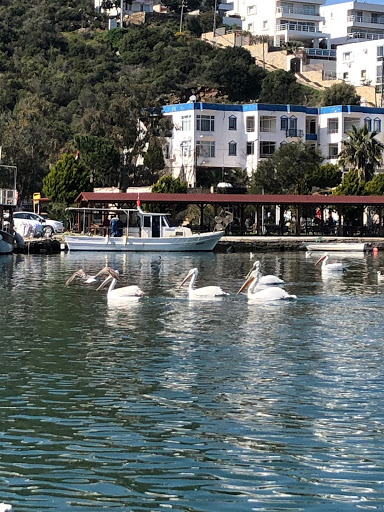 Bodrum Yakası Sitesi