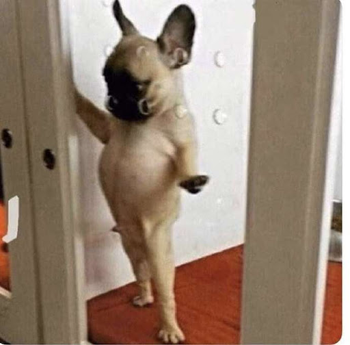 Skateboard Park «Paradise Valley Skate Park», reviews and photos, 17642 N 40th St, Phoenix, AZ 85032, USA