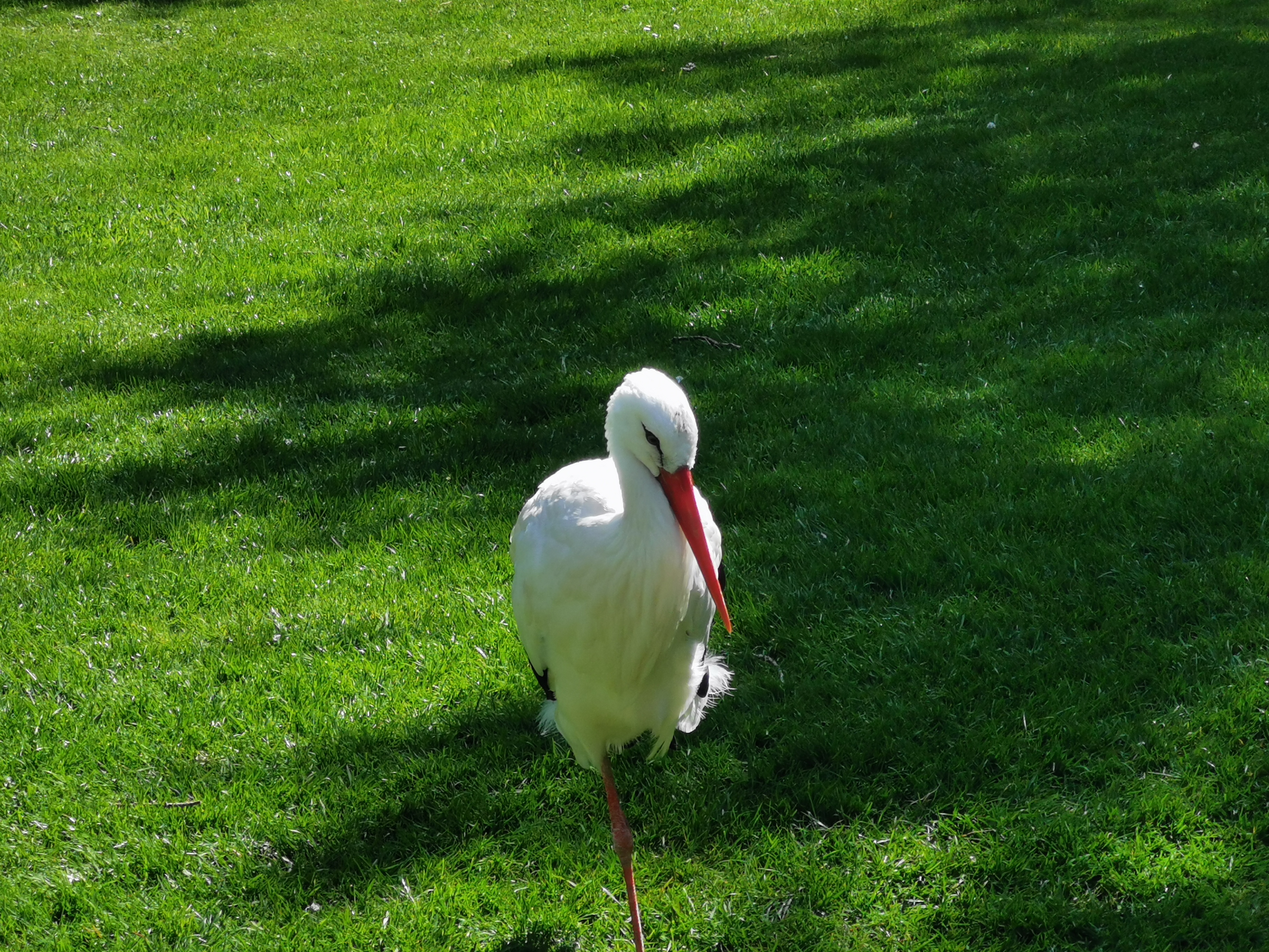 Photo n° 15 de l'avis de Hélène.e fait le 08/05/2022 à 03:31