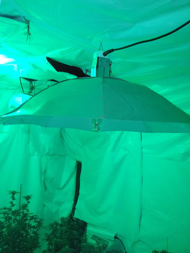 Hardware Store «Bradley Ace Hardware», reviews and photos, 31 44th St SW, Grand Rapids, MI 49548, USA