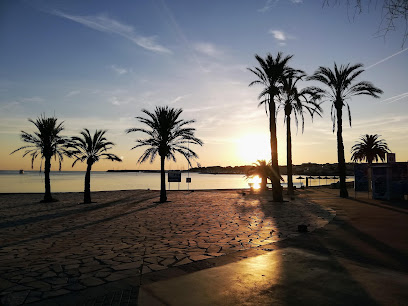 Descubre las Mejores Playas de Escala para tus Vacaciones