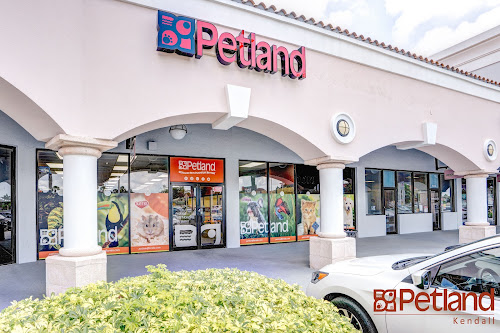  alt='I’m pleased to say I had a great experience at this location (Kendall) my first trip was at the Pembroke Pines location and'