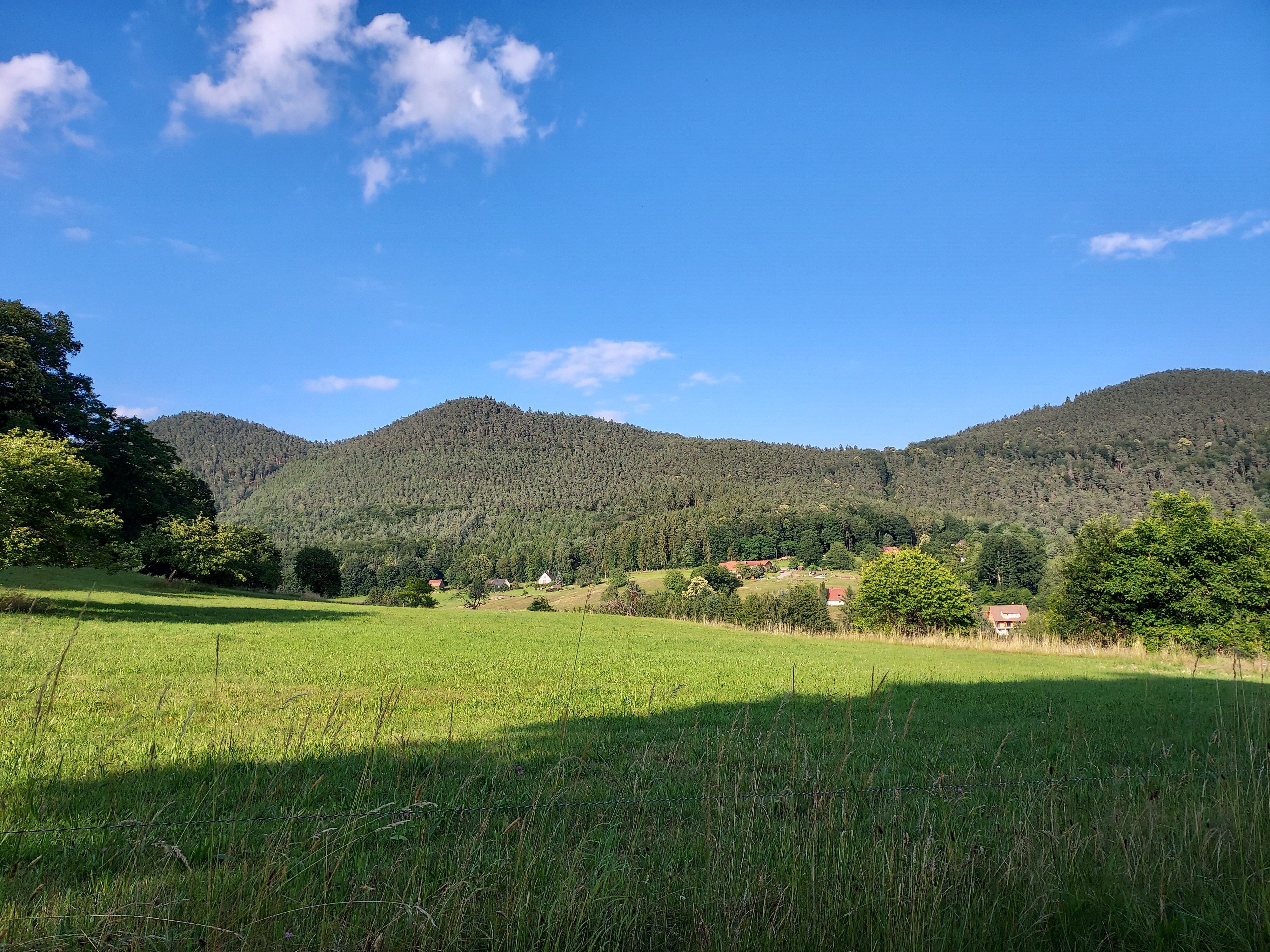 Photo n° 5 de l'avis de Nadine. fait le 03/07/2021 à 11:57