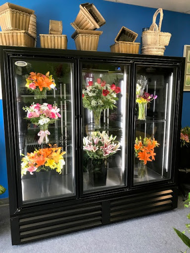 Florist «Xpressions Florist», reviews and photos, 14373 Blanco Rd, San Antonio, TX 78216, USA