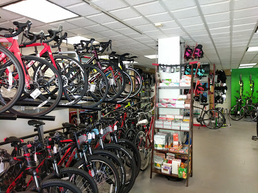 Bicycle Rental Service «Bicycle Hub of Marlboro», reviews and photos, 239 Hwy 79, Morganville, NJ 07751, USA