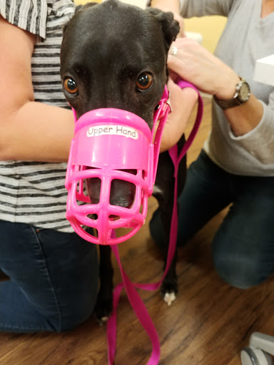 Pet Supply Store «PetPeople», reviews and photos, 3330 Washtenaw Ave, Ann Arbor, MI 48104, USA